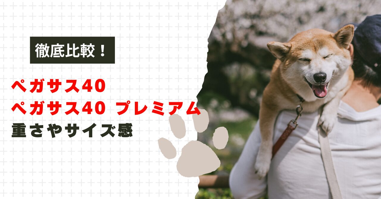 ペガサス40とペガサス40 プレミアムの違い